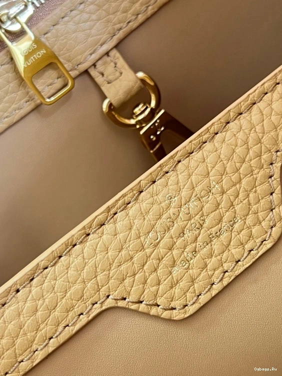 LOUIS VUITTON CAPUCINES MM 0420